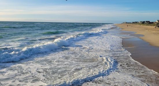 Avalon Pier beach