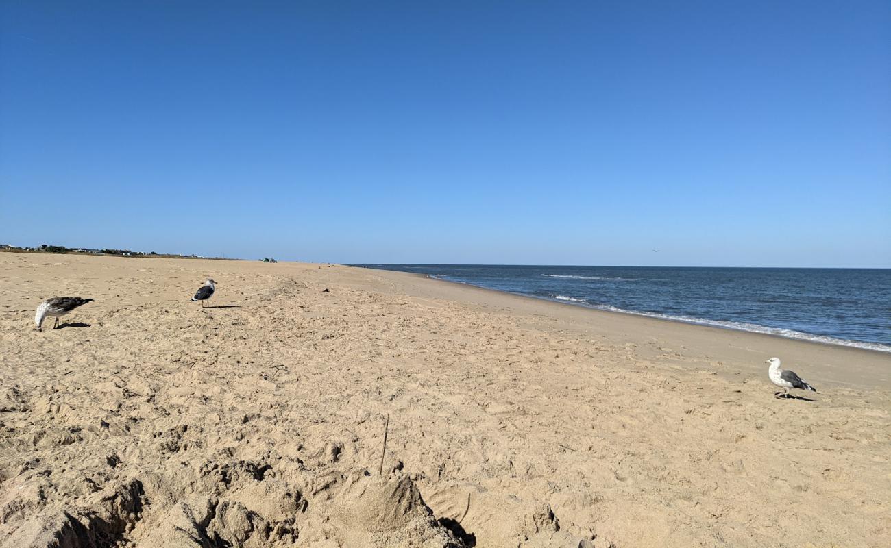 Photo de North End beach avec sable beige de surface