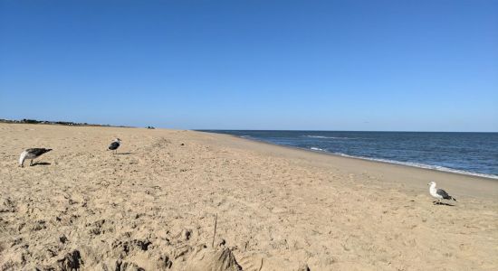 North End beach