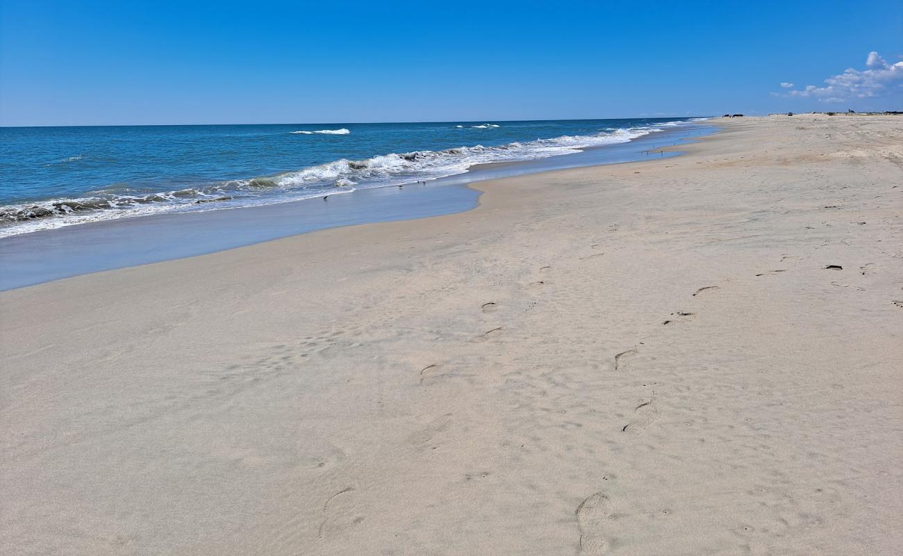 Photo de Plage d'Assateague avec sable beige de surface
