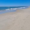 Plage d'Assateague