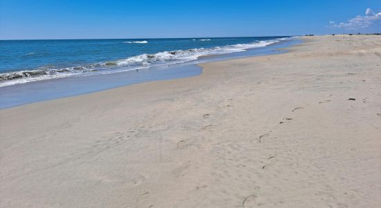 Plage d'Assateague