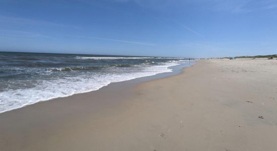 Assateague beach II