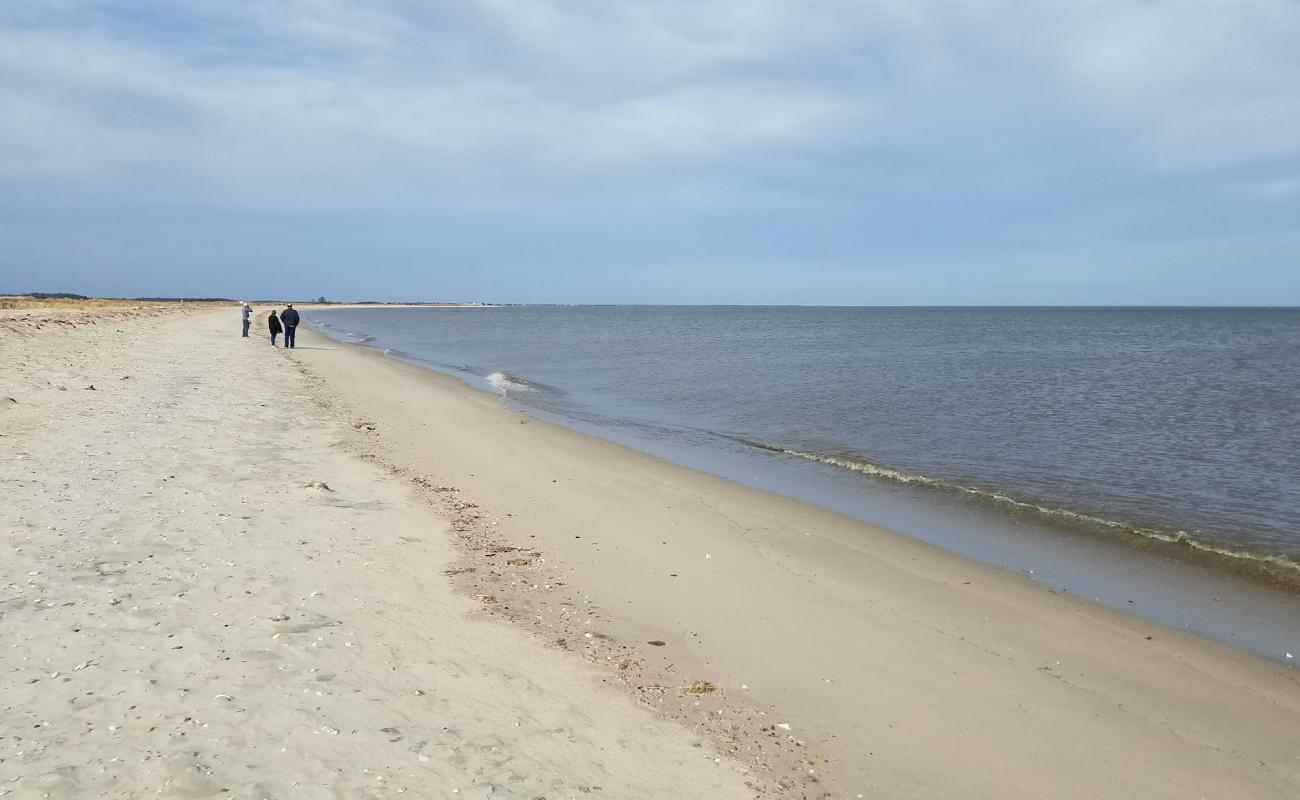 Photo de Fowler Beach avec sable gris de surface