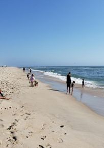 Beach Haven