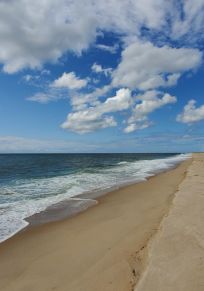 Ponquogue