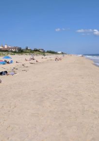 Apaquogue