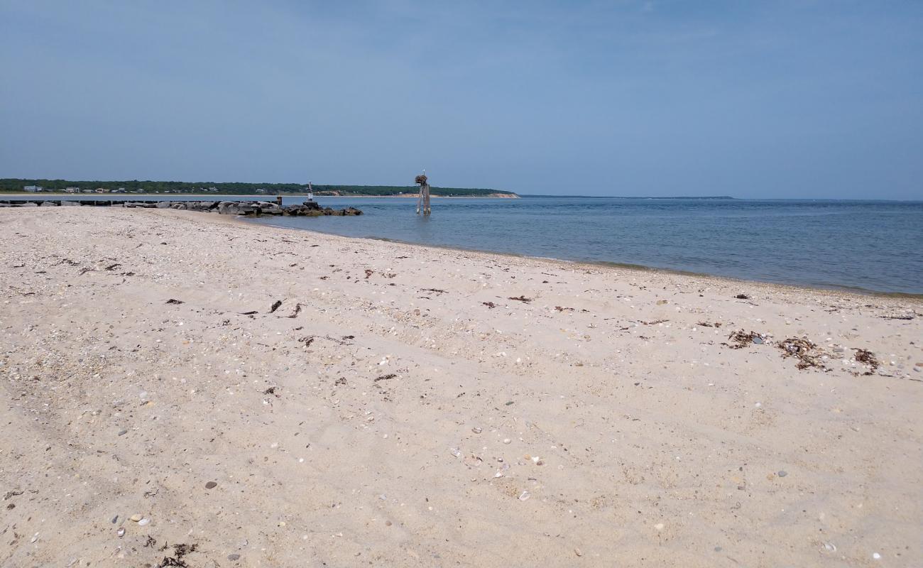 Photo de Maidstone Beach avec sable lumineux de surface