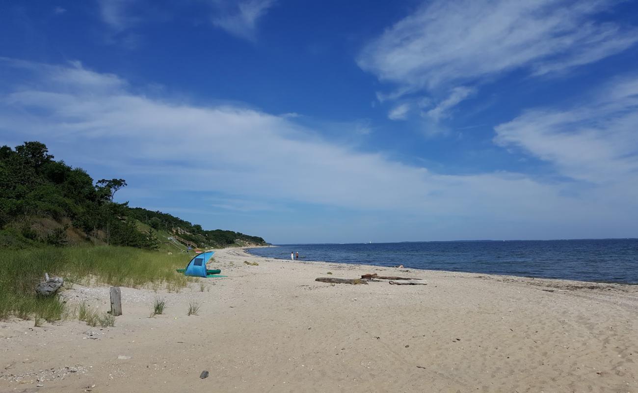 Photo de Sammys Beach avec sable lumineux de surface