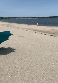 Sag Harbor