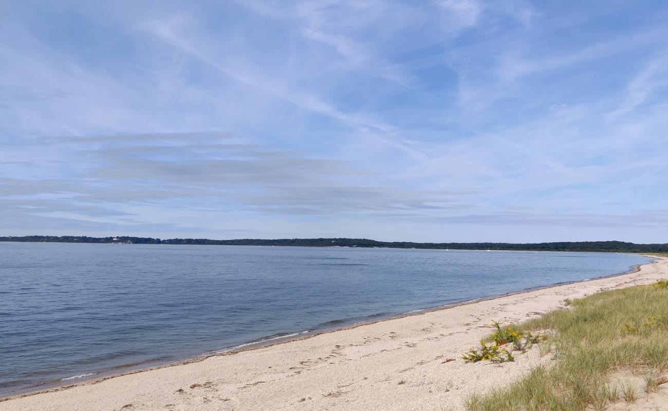 Photo de Otto Schubert Beach avec sable clair avec caillou de surface