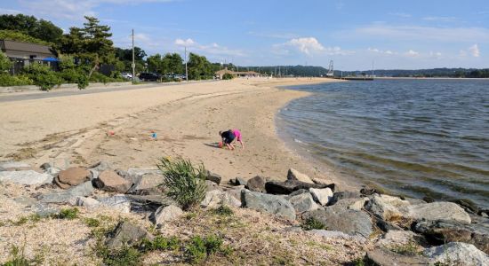 Tappen Beach