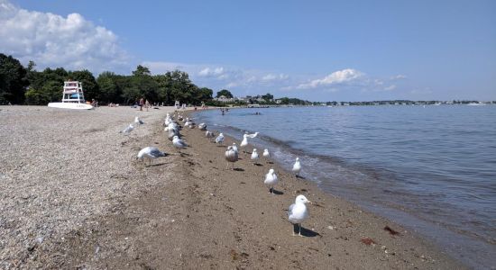 Calf Pasture Beach