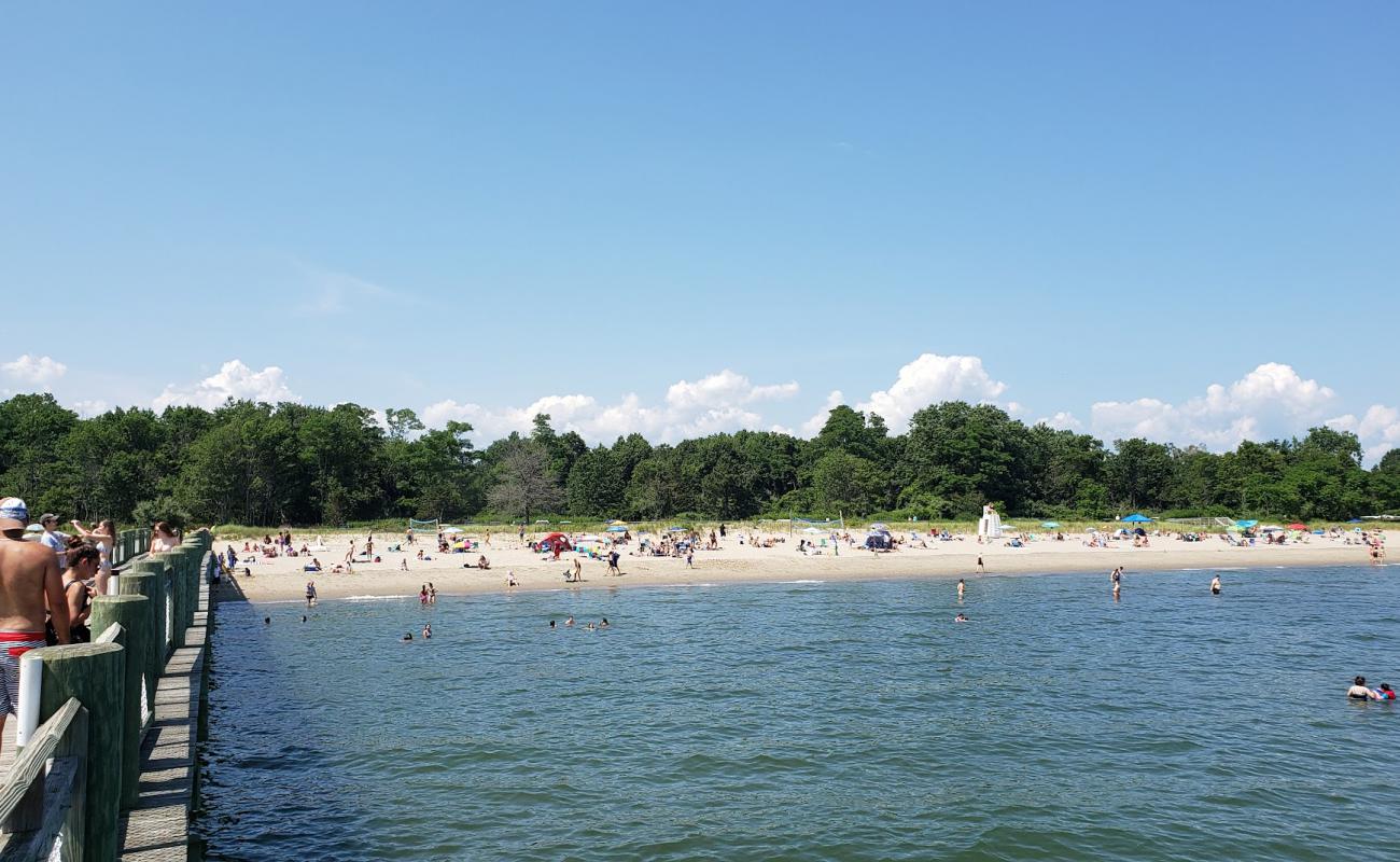Photo de Walnut Beach avec sable beige de surface