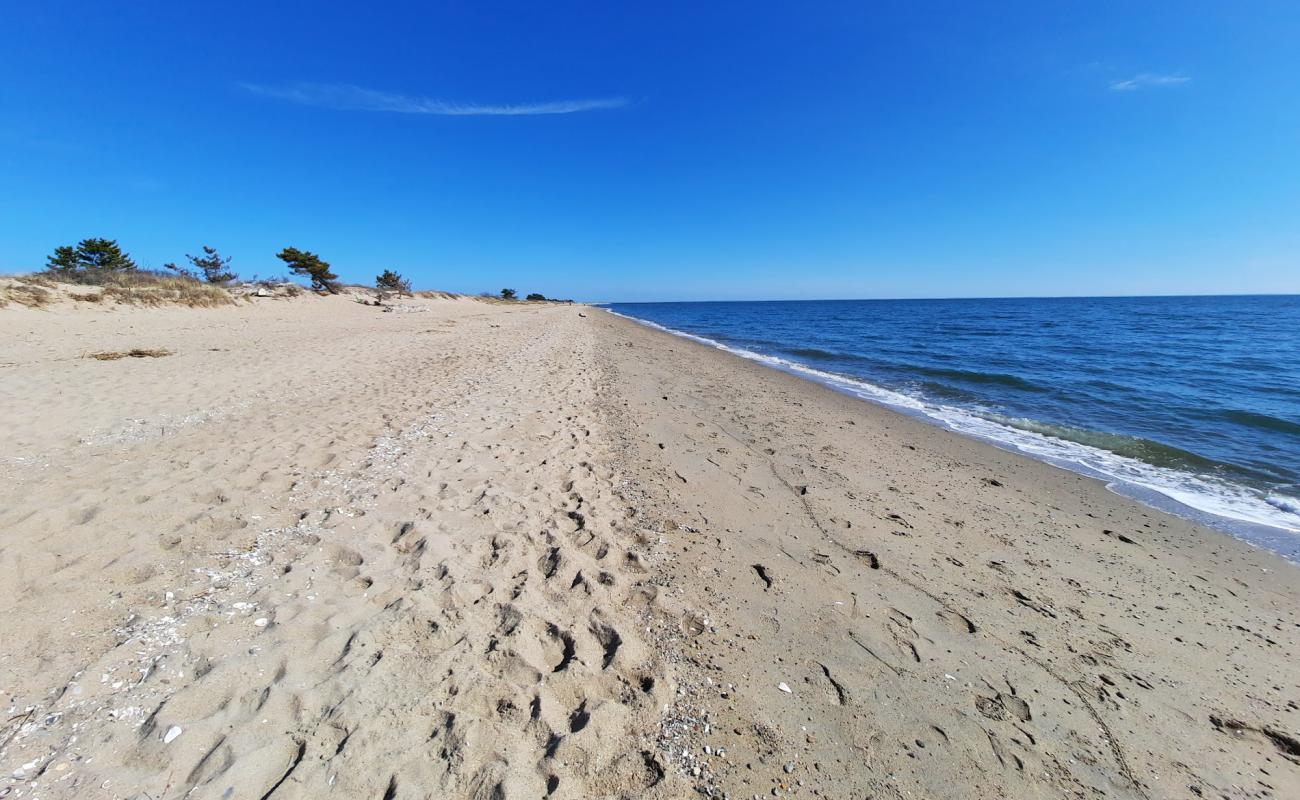Photo de Hammonasset Beach avec sable beige de surface