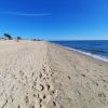 Hammonasset Beach