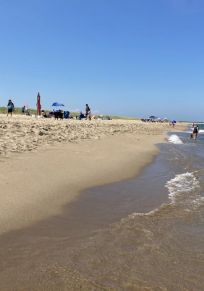Île de Martha's Vineyard