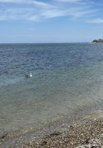 Tisbury