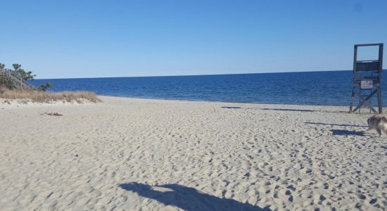 Earle Road beach