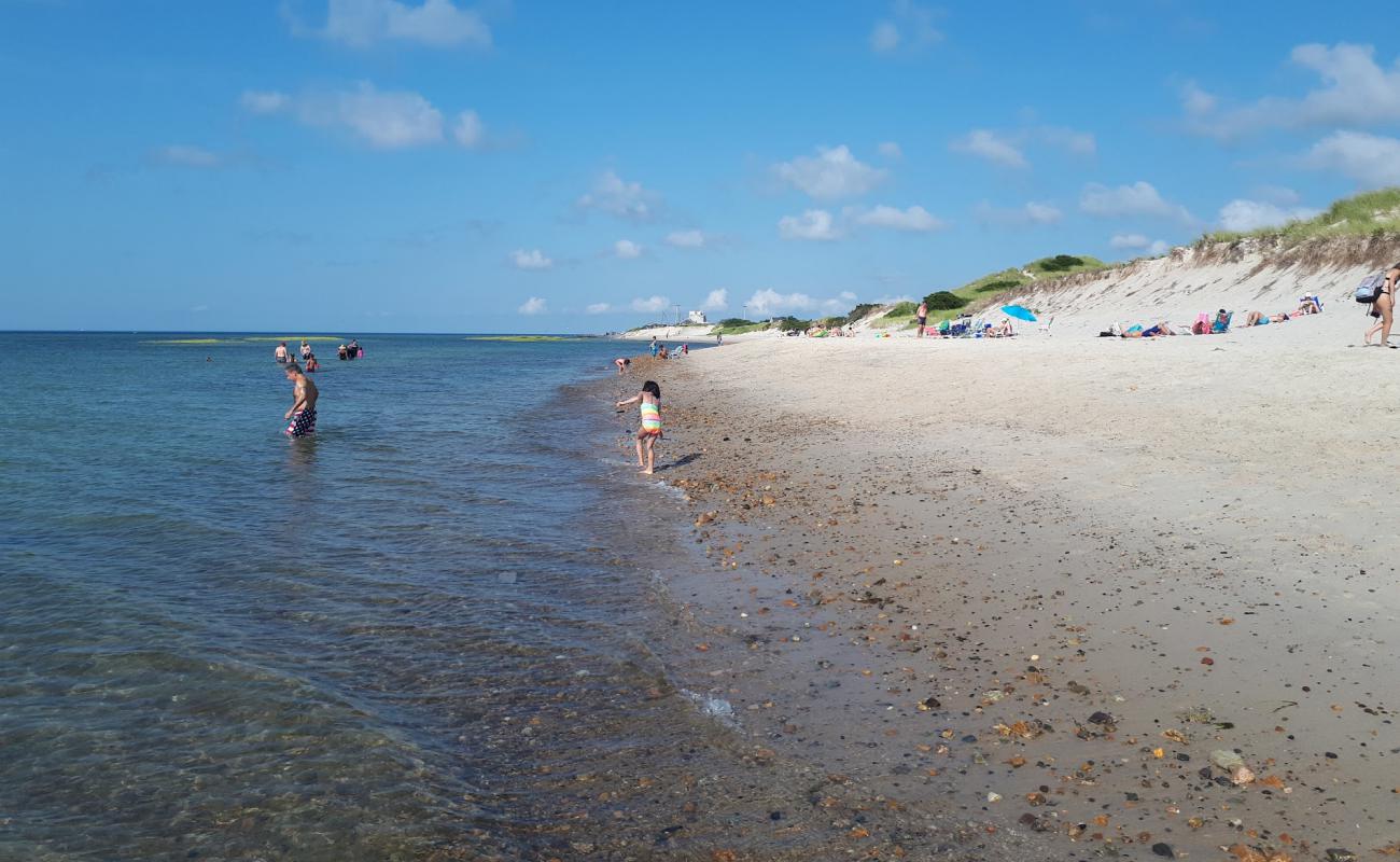 Photo de Chapin Memorial beach avec sable beige de surface