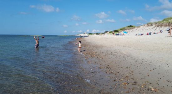 Chapin Memorial beach