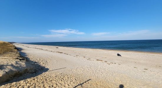 Plage de Sandy Neck