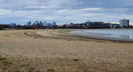 Savin Hill Beach