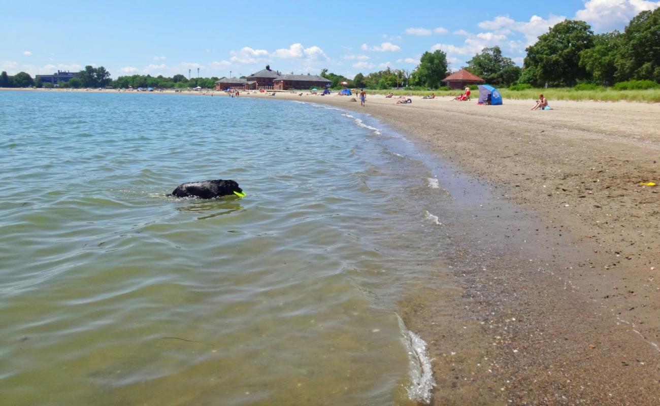 Photo de Carson beach avec sable beige de surface