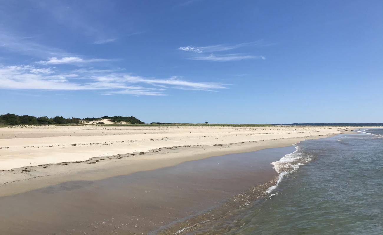 Photo de Sandy Point beach avec sable beige de surface