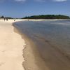 Plum Island beach