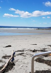 Cape Elizabeth