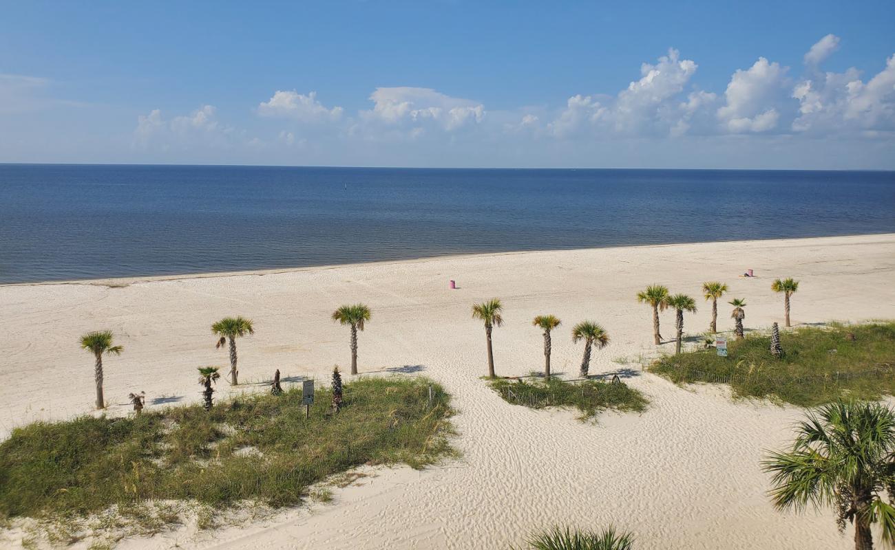 Photo de Henderson Point beach avec sable fin blanc de surface