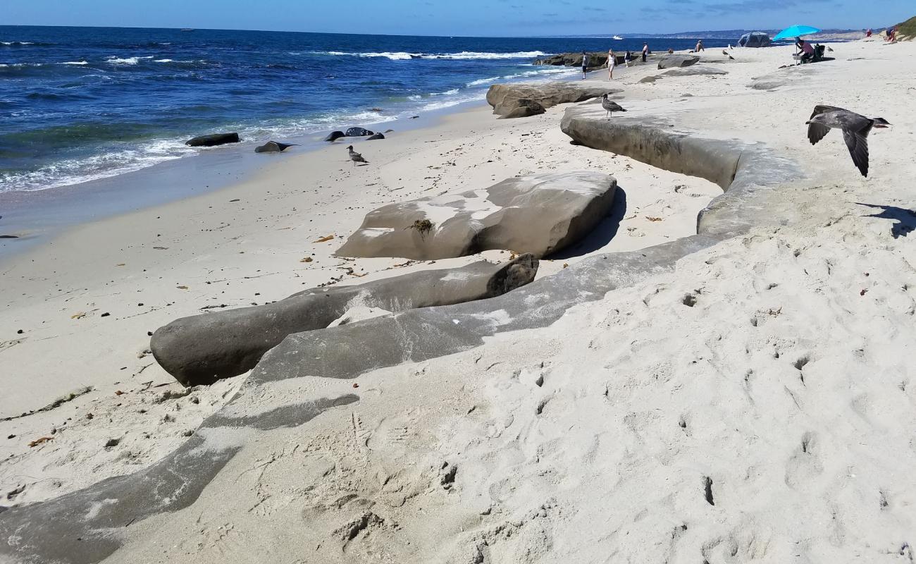 Photo de La Jolla Tide Pools avec sable brillant et rochers de surface