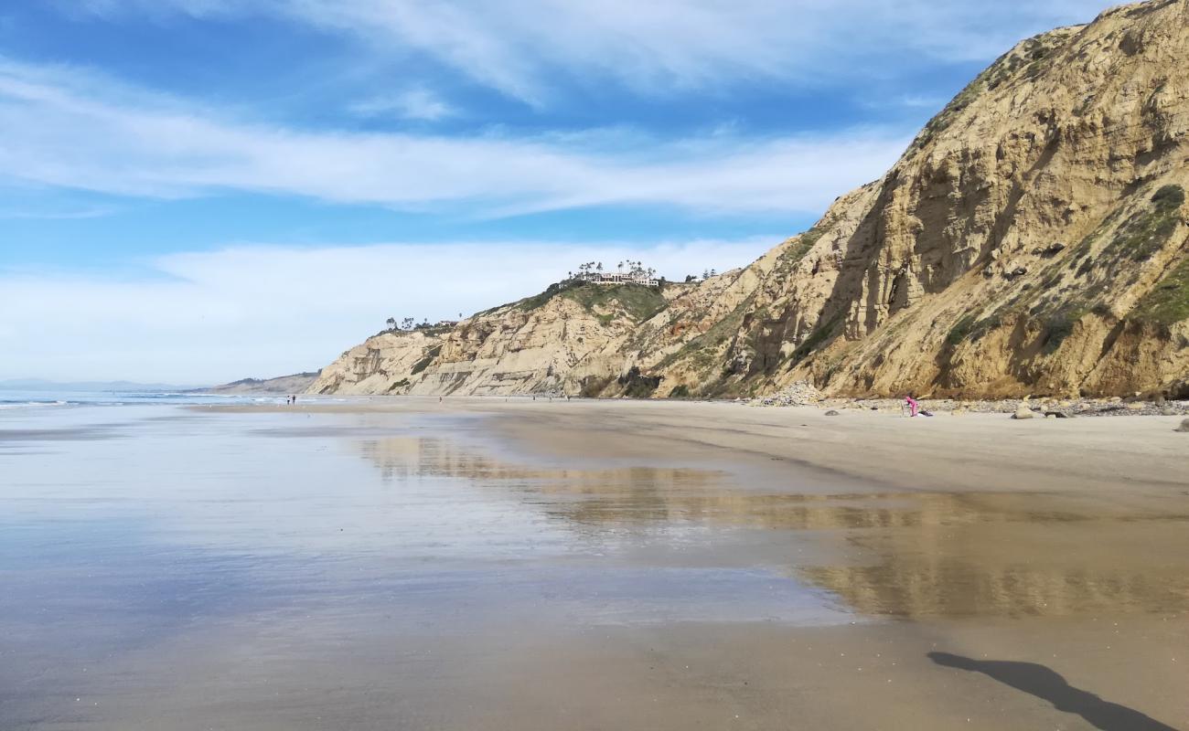 Photo de Torrey Pines City beach avec sable lumineux de surface