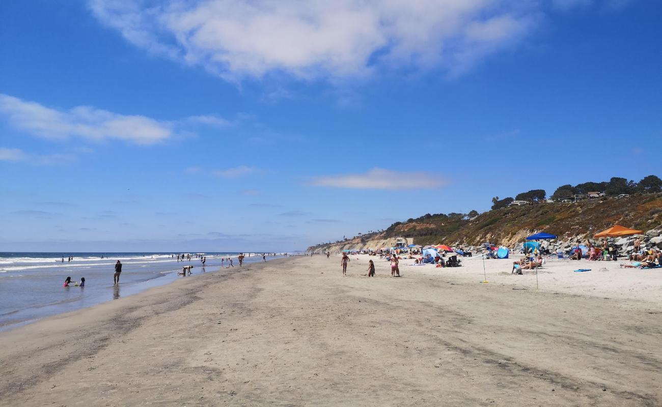 Photo de Torrey Pines beach avec sable beige de surface