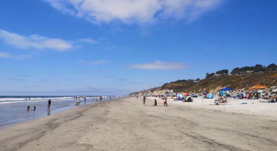 Torrey Pines beach