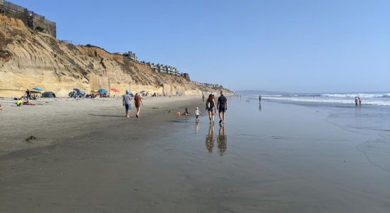 Fletcher Cove beach