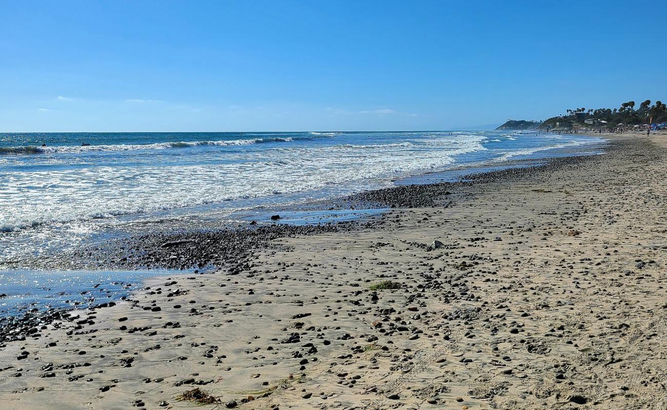 Photo de Cardiff beach avec sable gris avec caillou de surface