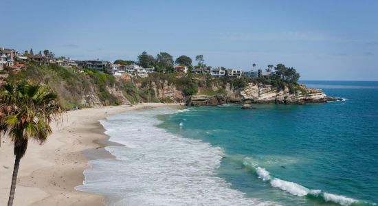 Mussel beach