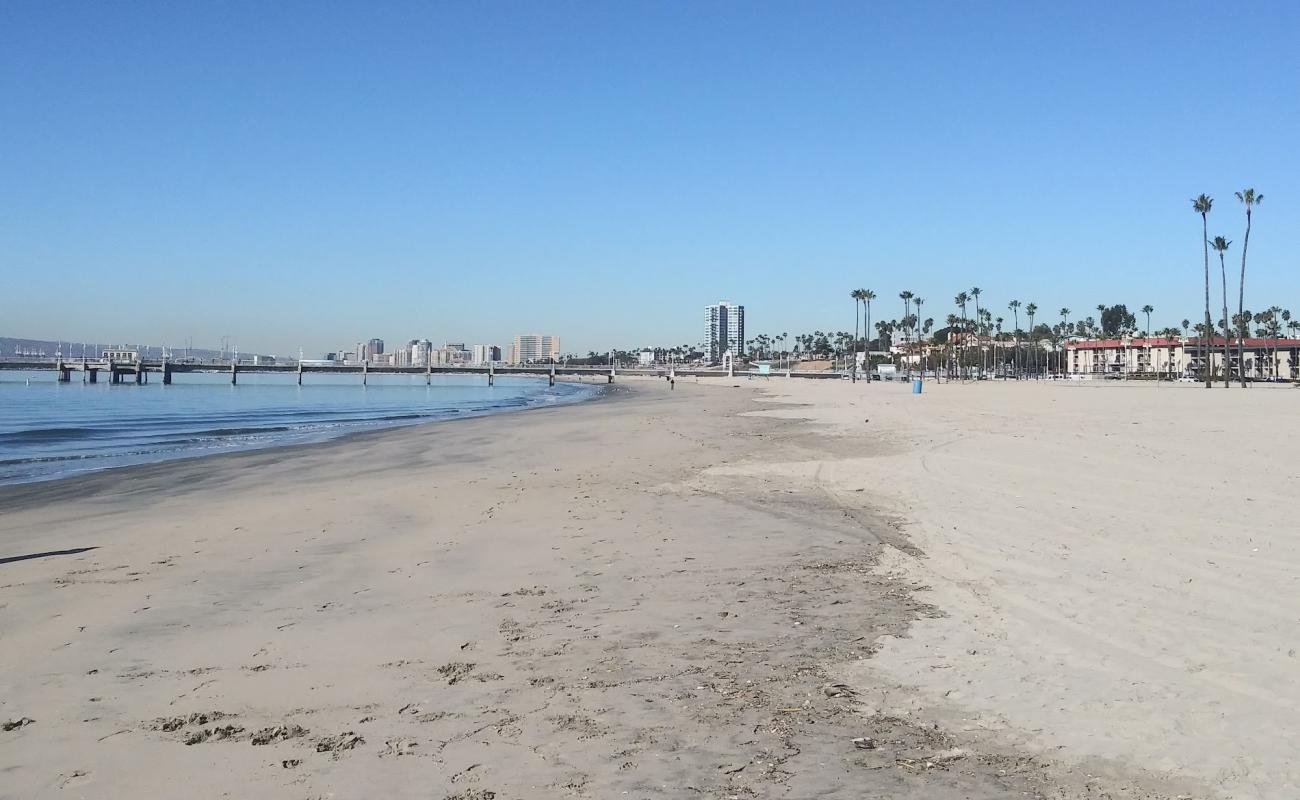 Photo de Belmont Beach avec sable lumineux de surface