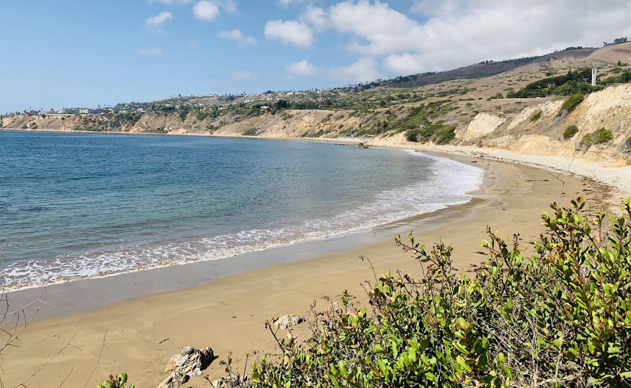 Photo de Abalone Cove Beach avec sable clair avec caillou de surface