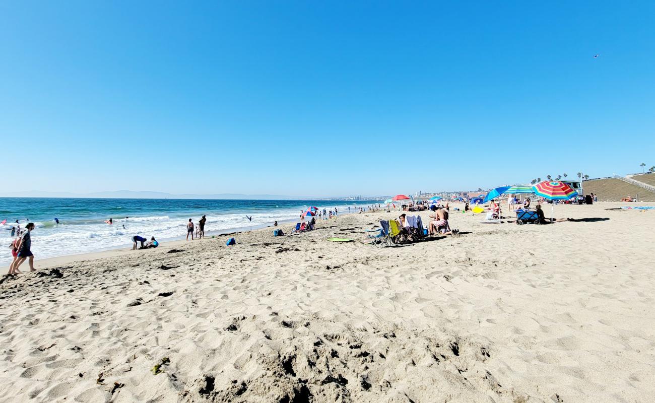 Photo de Torrance County Beach avec sable lumineux de surface