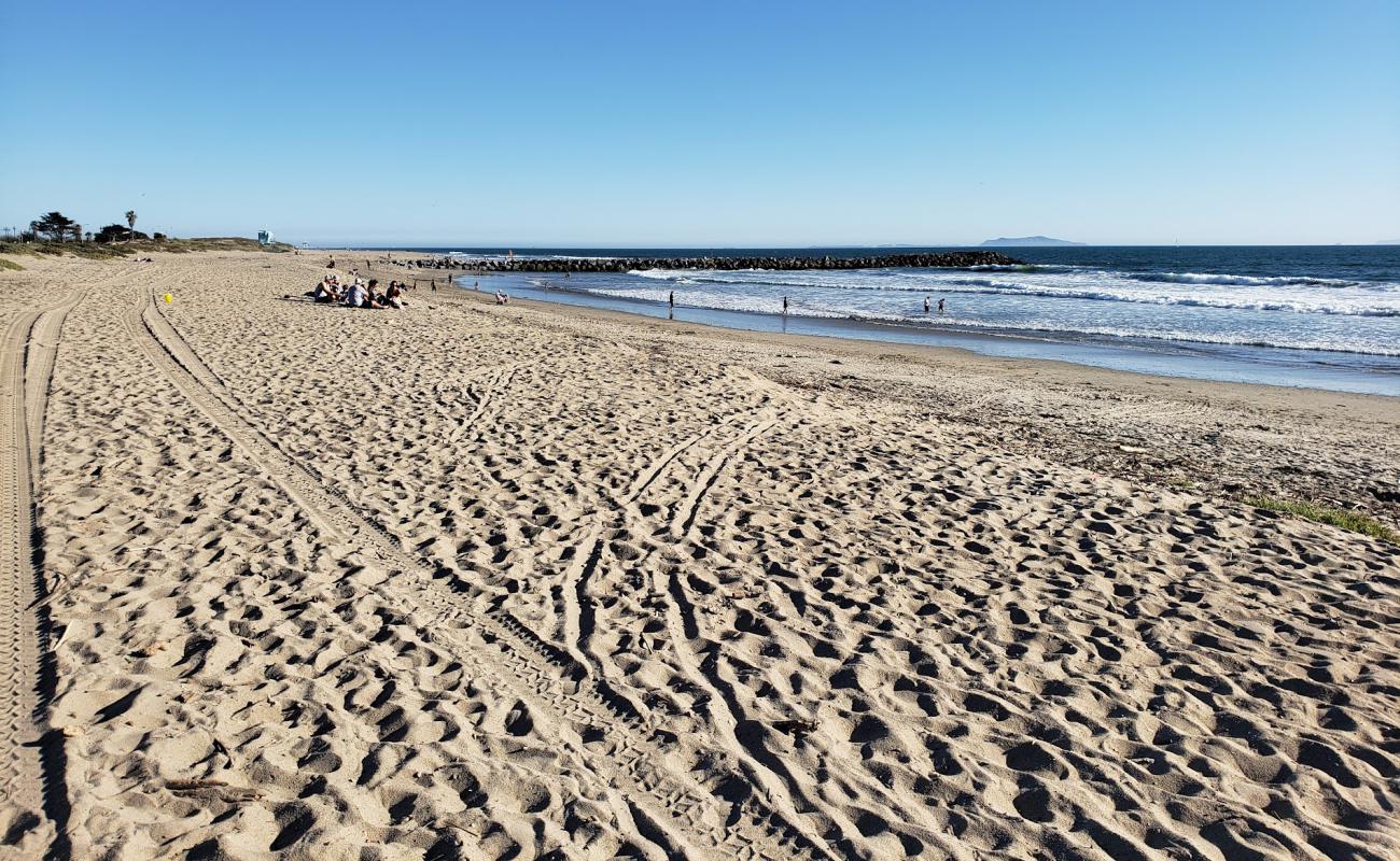 Photo de Harbor Cove Beach avec sable beige de surface