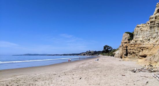 Loon Point Beach