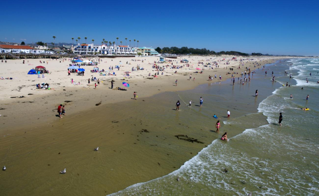 Photo de Pismo Beach avec sable lumineux de surface