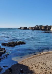 Shell Beach