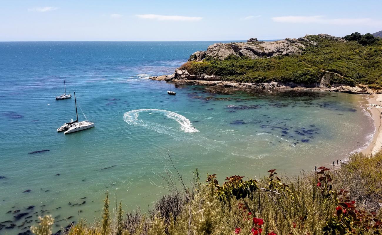 Photo de Pirates Cove Beach avec sable brillant et rochers de surface