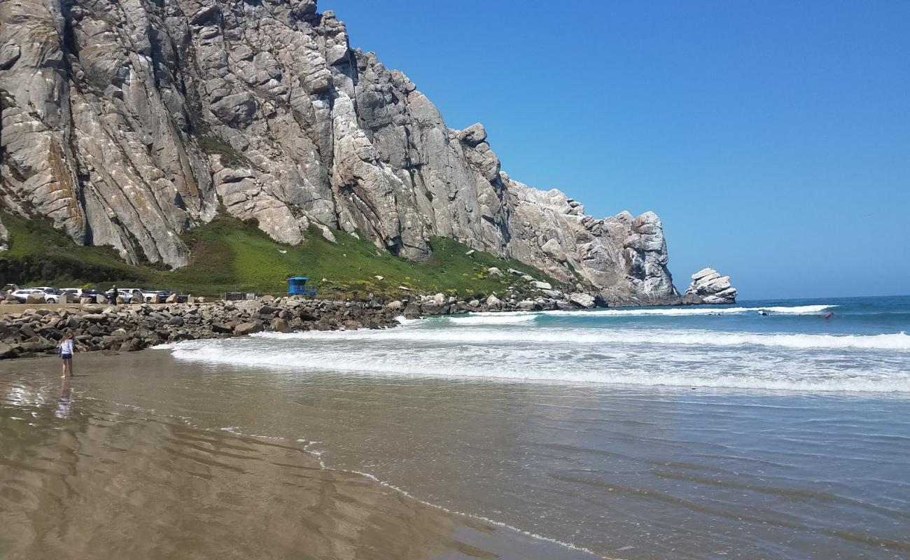 Photo de Morro Rock Beach avec sable beige fin de surface
