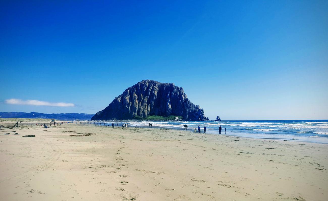 Photo de Morro Bay Beach avec sable lumineux de surface