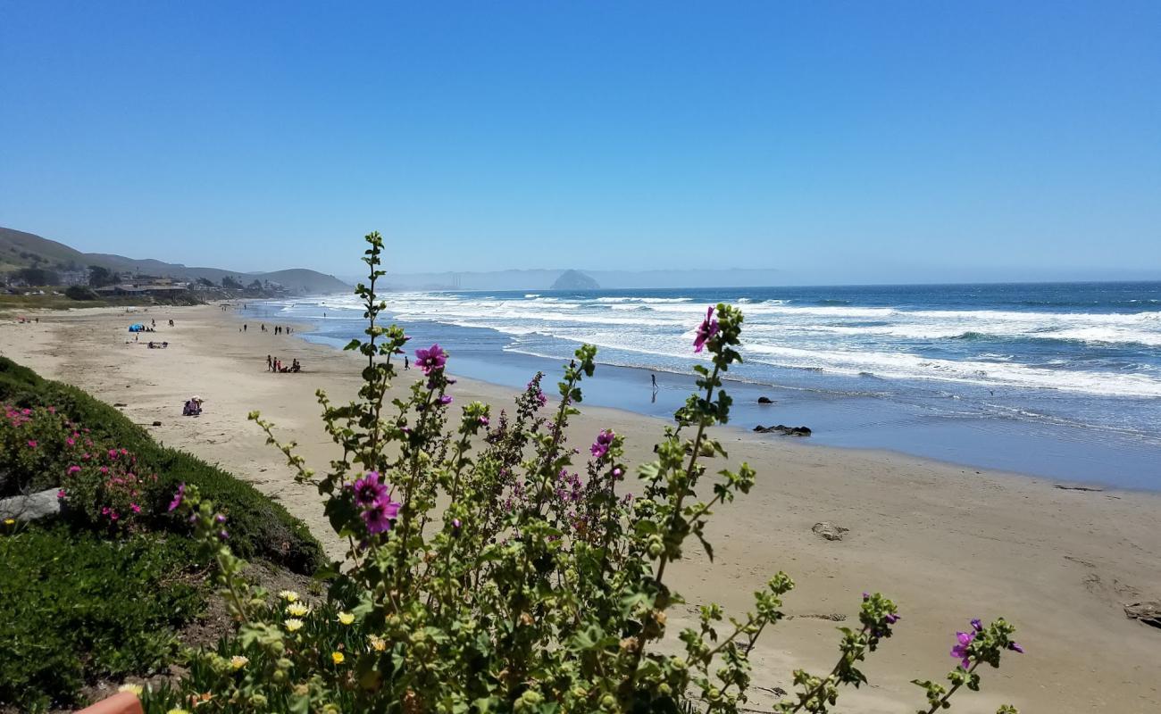 Photo de Morro Strand Beach - endroit populaire parmi les connaisseurs de la détente